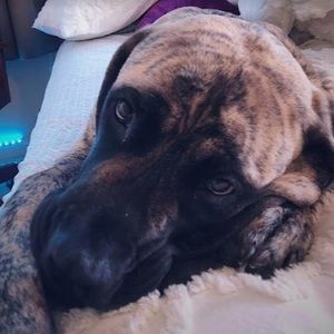 Meet your Posher, Sidney